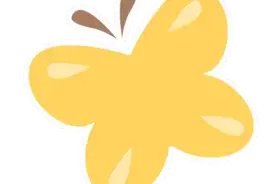 高校专项|南京航空航天大学公布2025年高校专项计划 选考科目确定图片