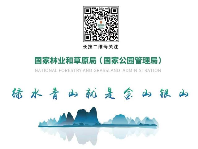 和合之美｜武夷山国家公园：“会呼吸”的诗意乐园