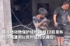 巴勒斯坦少年在废墟中救起一只猫，网友：少年和小猫，彼此成了安慰图片
