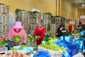 曲靖马龙：乡村冷库“链”通群众致富路图片