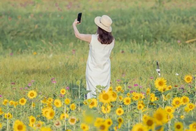你手里的票根，又升值了！