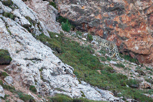 科考旅行｜秘境山南生态考察报名
