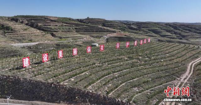 山西偏关：直叫山峁披绿装 一泓清水入黄河