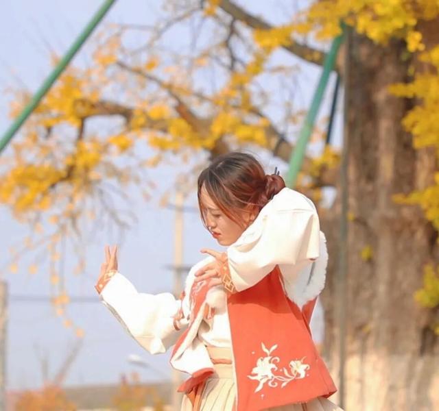 超出片！1900多岁的江陵资市银杏，金了~