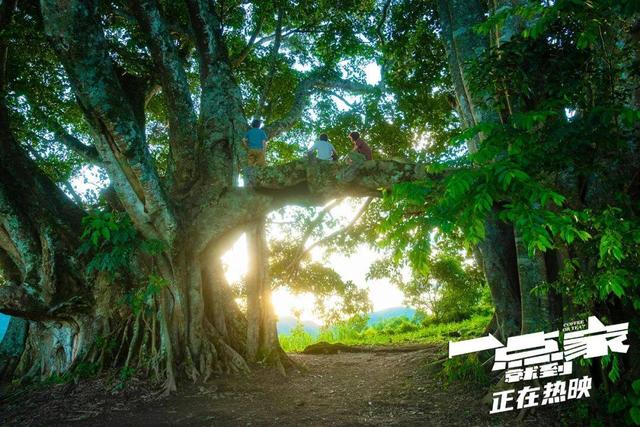 光影百年，云南在场