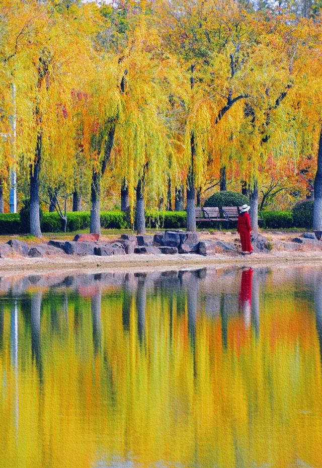 周末别宅了！青岛这5个宝藏地，现在去正好