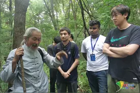 “洋弟子”在吉林：进深山，学采参图片