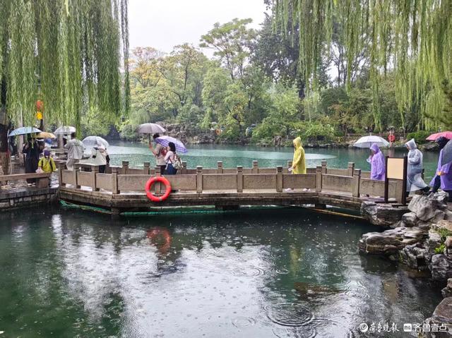 双节拍 | 雨中五龙潭，双节游园韵