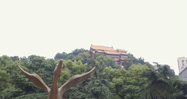 周末不忙，去趟＿＿＿＿