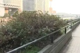 大阪市中心发现数十块人体碎片，属于一名年龄不详男子图片