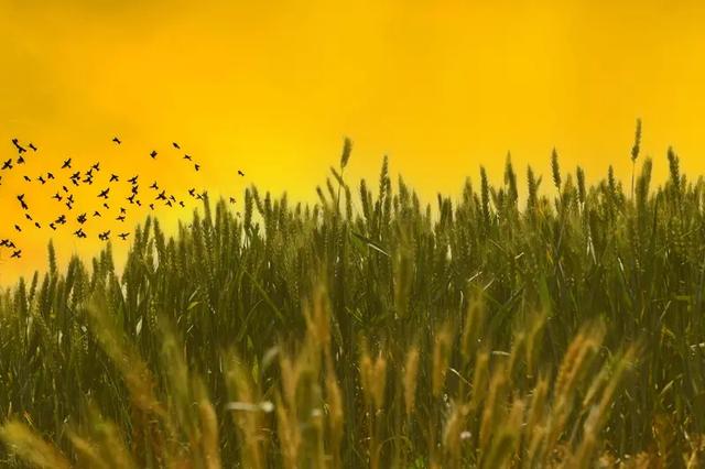 白居易偏爱的西安宝藏县城