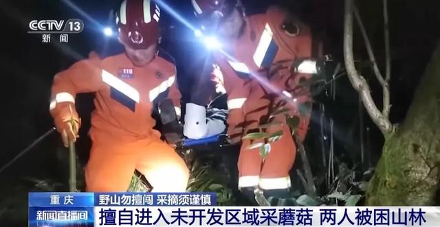 野外找不着“北”？这些户外应急技巧，关键时刻能救命