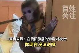 女子救下猕猴带回家养了半年，官方：涉嫌违法，请放猴归山图片