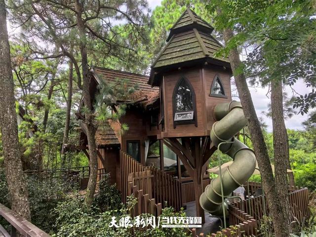 【不一样的生态游】23℃的森林间，藏着树屋下的魔法奇遇