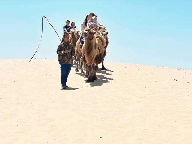 2026河南·荥阳第十一届黄河樱花季在丰乐樱花园启幕