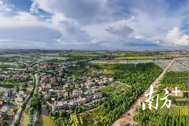 环村路：游子归家的路，奔向未来的路图片