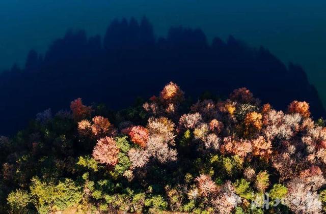 蕲春塔林的秋天，让人不愿离开