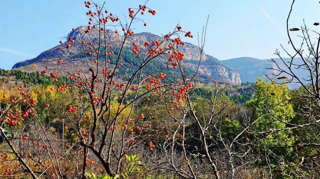 9.9元！深秋里寻一处静谧！本周六出发，打卡长清王泉摩崖石窟、义静寺！