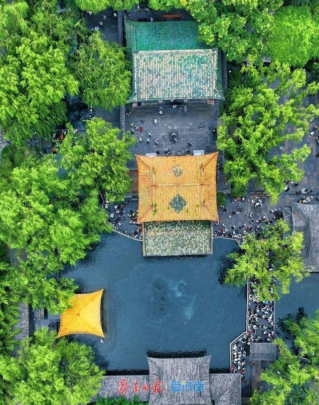 一年四季 泉在济南丨趵突泉雨后撒欢 漫步其中感受别样浪漫