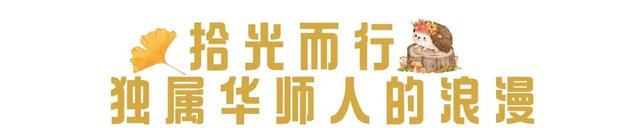 限时绝美！年度顶流！