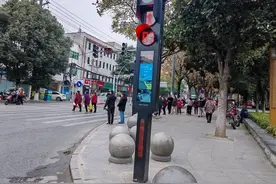 红绿灯“开口”说话了！湖北红安首批8个智能过街音响提示装置上线图片