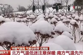 局地强降雪！路上如遇突发情况这样应对→图片