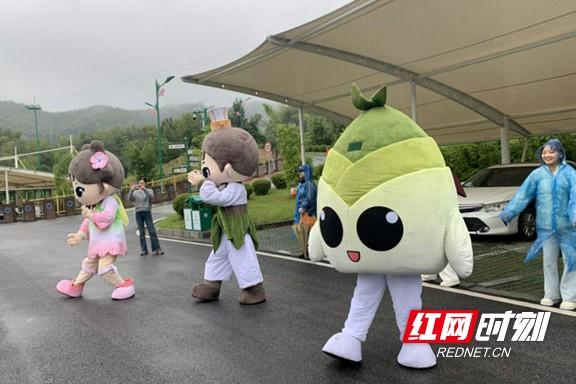 千名选手竹海逐风，激活桃江“竹旅文体康”新动能
