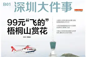 头版头条：最低99元！打“飞的”上深圳梧桐山空中赏花图片