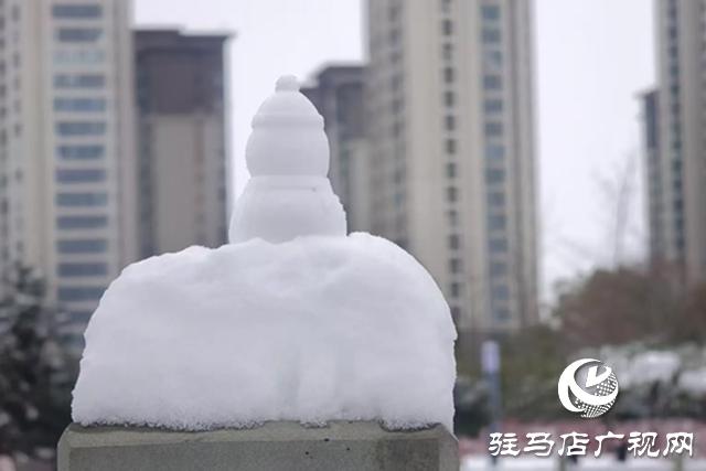 【大美天中】泌阳：瑞雪绘童话 银装映风华