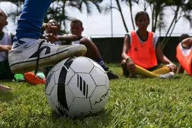 列国鉴·巴西｜记者观察：足球是生命　体育是生活图片