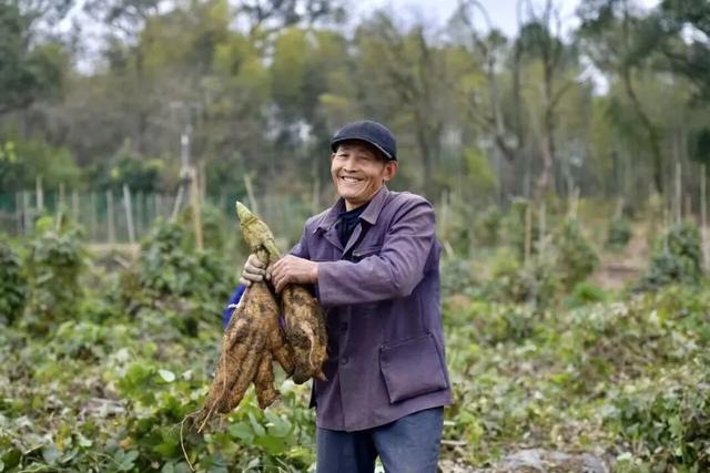 到上饶横峰，寻一处山水清欢