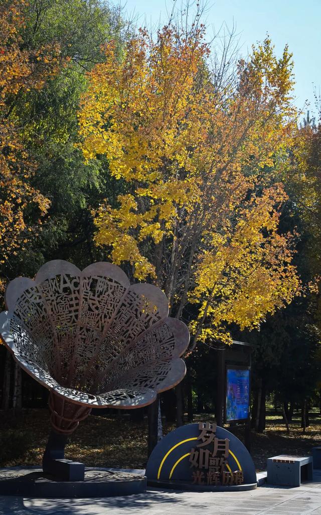 重阳免票 诚邀“长辈” 温馨赏秋