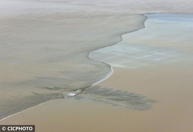 宛如水墨画！钱塘江滩涂出现“潮汐树”景观