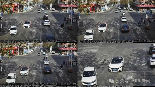 压实线！伊川曝光一批车辆……