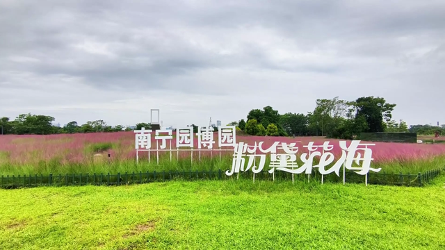 免费游！广西多景区献礼教师节
