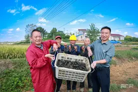 六安市金安区：乐享“蓝龙”丰收季图片