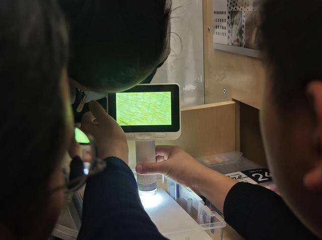 趣玩自然博物馆之夜