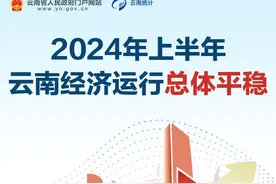 同比增长3.5%！2024上半年云南GDP公布图片