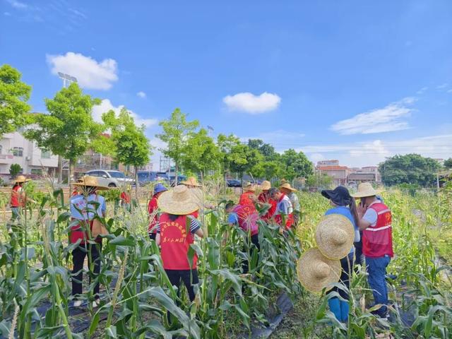 环两江国庆亲子游第一站：从艺术打卡地到庭院赏景，这份漫游清单请收好！