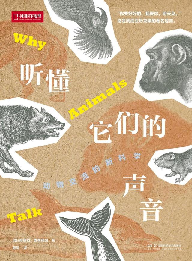 科普书单·新书｜你的脚比头年轻