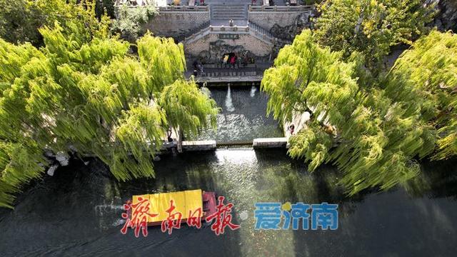 一年四季 泉在济南丨济南护城河初冬景如画 游人打卡赏斑斓