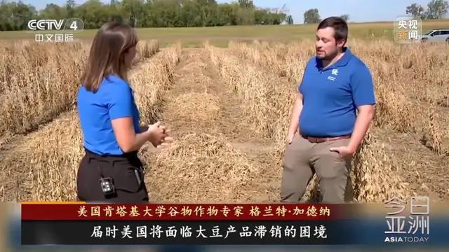 中国停购美国大豆背后