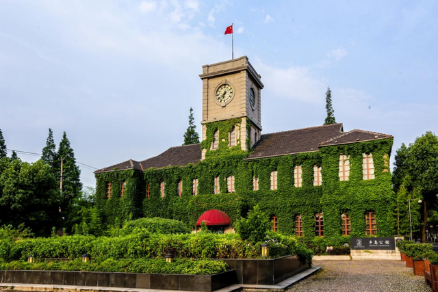 仅此一周！宝山推出半价+99元畅玩卡，非遗美食+滨江美景承包你的快乐