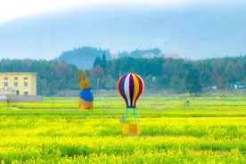 油菜花开村民乐图片