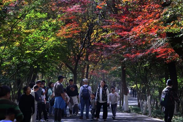 “CHUA”的一下，65%！