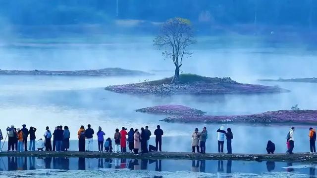 共祝申遗成功25周年 | 四大景区携手联动——西递、宏村