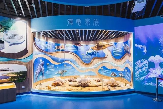 惠东海龟湾入选省级名单！