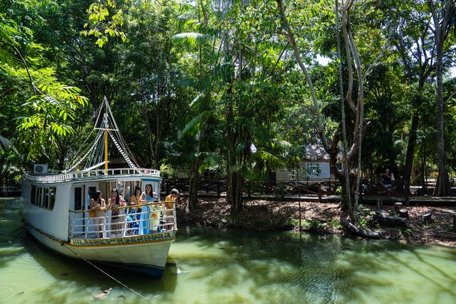 巴西马卡帕：赤道之城的生态与人文风貌