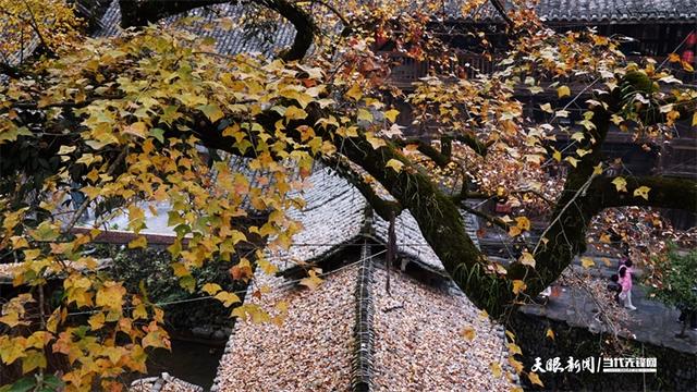 大利侗寨:有流量就有生意