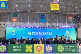 万余农特好物齐聚江城  2024湖北农博会开幕图片